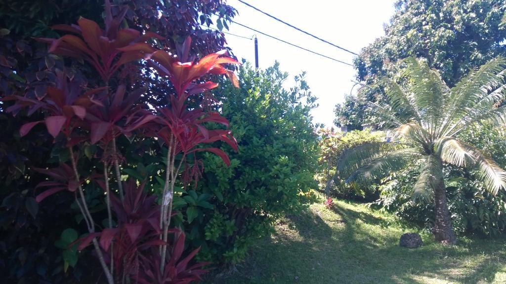 Sainte-Clotilde Les Bungalows Du Mont-Auban מראה חיצוני תמונה