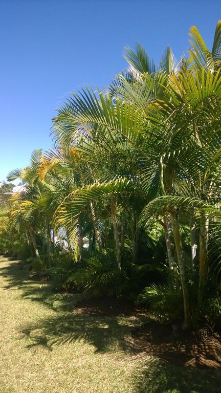 Sainte-Clotilde Les Bungalows Du Mont-Auban מראה חיצוני תמונה