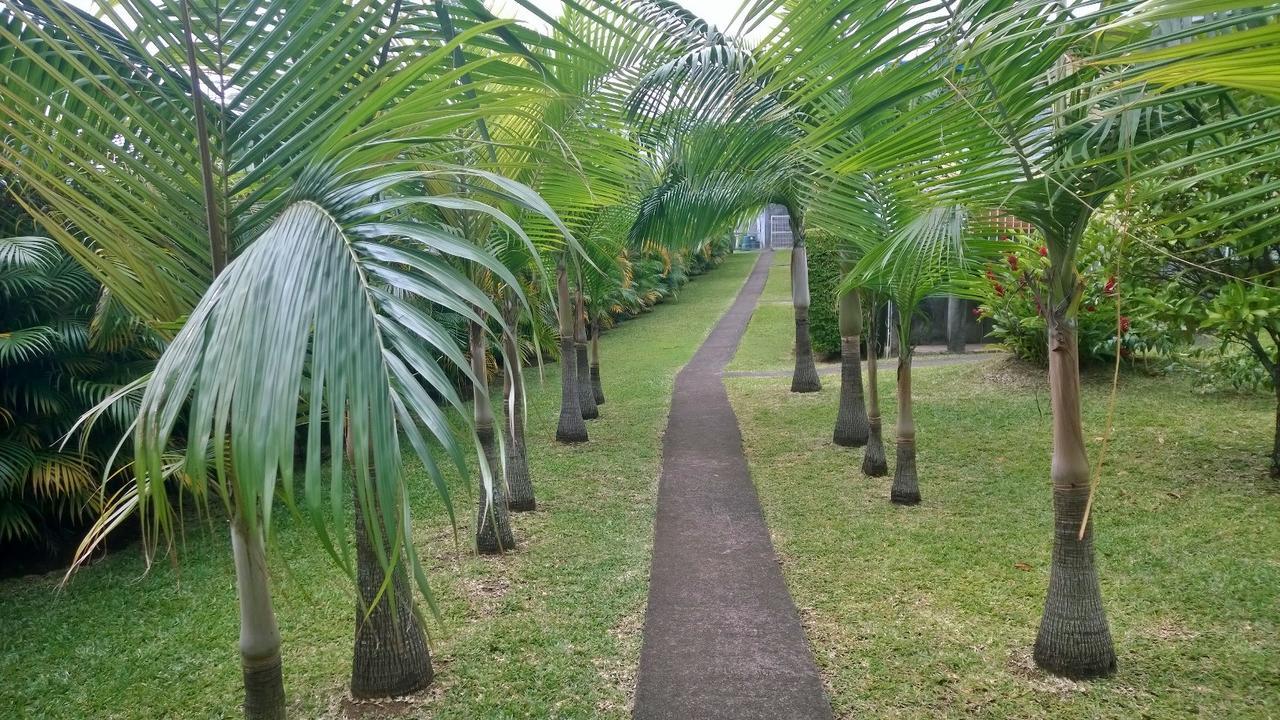 Sainte-Clotilde Les Bungalows Du Mont-Auban מראה חיצוני תמונה
